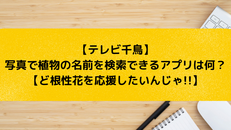 テレビ千鳥 写真で植物の名前を検索できるアプリは何 ど根性花を応援したいんじゃ 22年5月19日放送 ユキのしゅみしゅみブログ